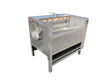 Fabrik-Förderband-Reinigungs-Bürsten-Waschmaschine der Nahrung1000kg/h