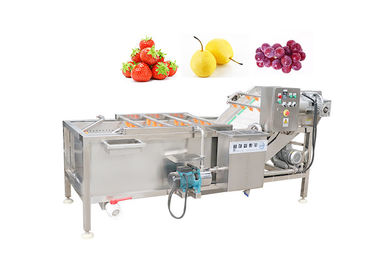 500kg/H Tomatoes Cabbage Air Bubble Washing Machine SUS 304 Stainless Steel Vegetable Washer