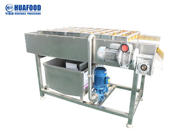 Industrielle Gemüse-Waschmaschine der Bürsten-SUS304