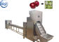 Nahrungsmittelgrad-Zwiebel-Verarbeitungs-Ausrüstungs-Zwiebel-Pulver, das Maschine 12 - 85kw herstellt