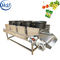 Ununterbrochene Gemüsefrucht-Trockner-Maschine, Nahrungsmittelentwässerungsmittel-Maschinen-Förderband-Breite 600mm