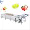 Gemüsewaschmaschinen-Maschine mit Wasser-verteilender System-Frucht-Waschmaschine
