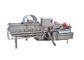 Turbulenz-Blattgemüse-Waschmaschine SUS304 1000KG/H