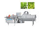 Industrielle automatische Turbulenz-Frucht-Gemüse-Waschmaschine 1000KG/H