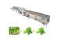Entwässerungsmittel-Frucht-trockenere Maschine 380v 50hz 10.1kw 1500kg/H