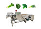 Trägt Gemüsewaschmaschine 380V mit Förderer Früchte