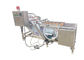 SUS 304 Luftblase 500kg/h Ginger Washing Machine