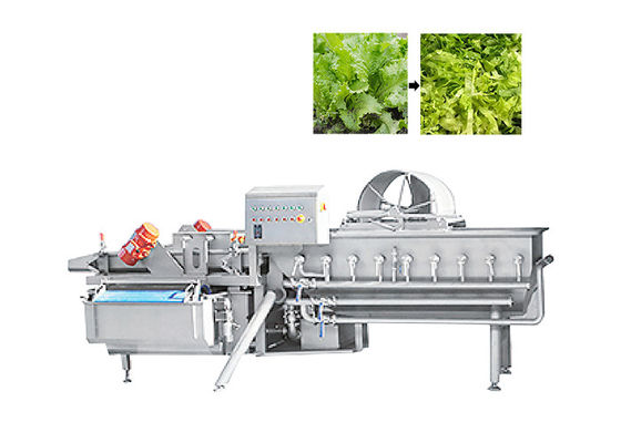 Blatt-Schneider-Kopfsalat-Schneidemaschine des Grün-1000kg/H für Obstsalat-Gemüse