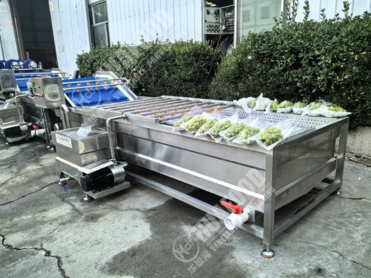 Obst- und Gemüsewaschmaschine mit Federn und 220-Volt-Spannung