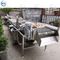 LUFTBLASE-Waschmaschinen-Gemüse-Waschmaschine der elektrischen Gemüsewaschmaschinen-SUS304 Gemüse