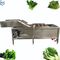 LUFTBLASE-Waschmaschinen-Gemüse-Waschmaschine der elektrischen Gemüsewaschmaschinen-SUS304 Gemüse