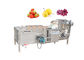 Kohl-Luftblase-Waschmaschine SUS 304 der Tomaten-500kg/H Edelstahl-Gemüsewaschmaschine