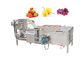 Waschmaschinen-Gemüse der Blasen-SUS304 und Früchte tragen Reinigungs-Maschine der Nahrung500kg/h