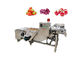 GemüseLuftblase-Waschmaschine der frucht-SUS304 500kg/h