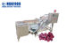 Schleuder-Waschvorgang-Maschinen der Trauben-500KG/Hour für Rosine