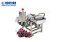 Schleuder-Waschvorgang-Maschinen der Trauben-500KG/Hour für Rosine