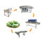 SS304-Gemüse- und Frucht-Waschmaschinen-Mango-Produktlinie