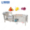 Automatische Ultraschallfrucht-Gemüse-Waschmaschine und Reismühle