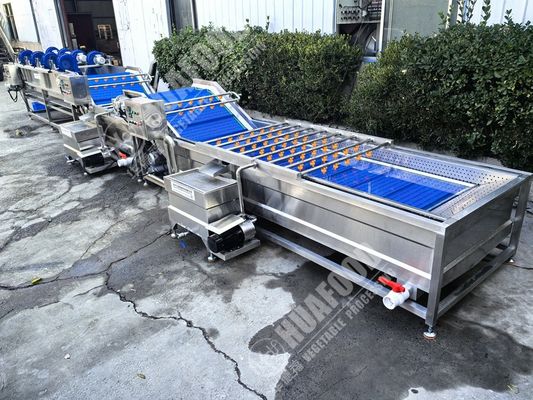 Obst- und Gemüsewaschmaschine mit Federn und 220-Volt-Spannung